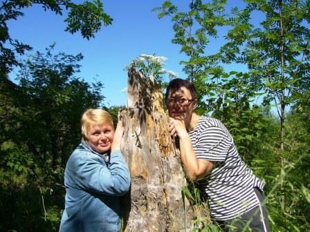 Думы наши светлые